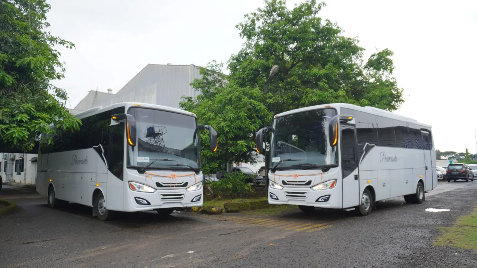Mediumbus - 30 Seat