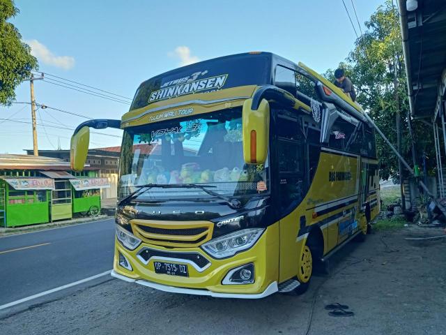 Mediumbus - 33 Seat