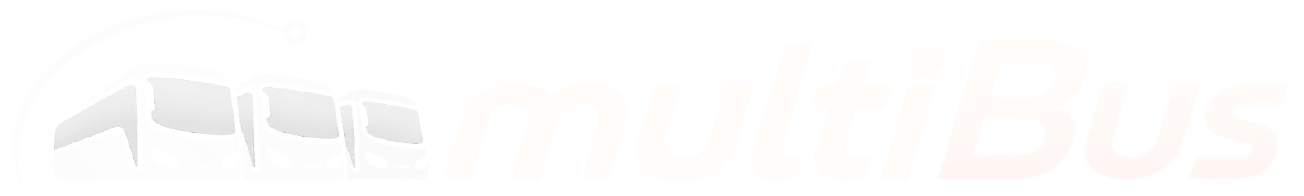 Logo Footer