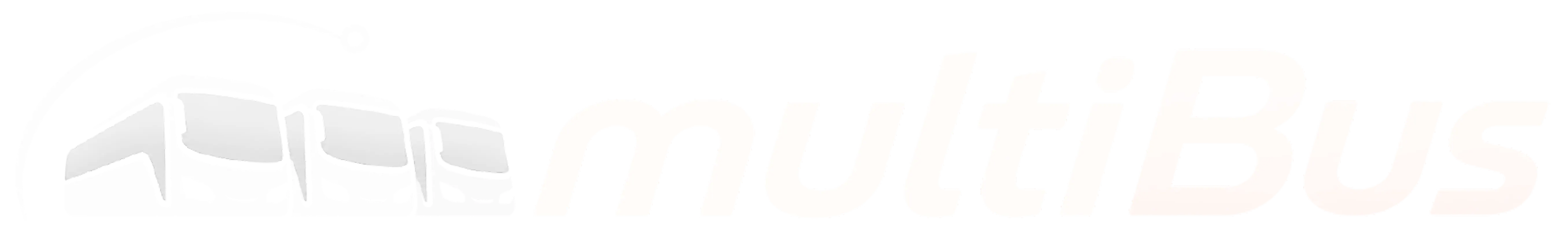 Logo Footer