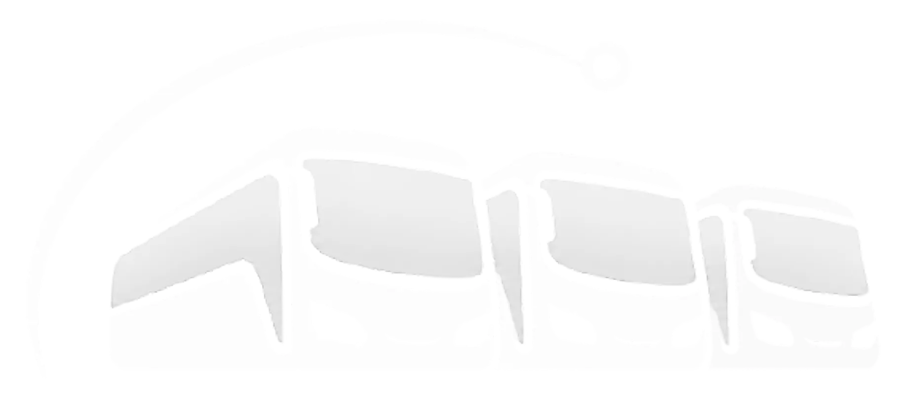 Logo Footer